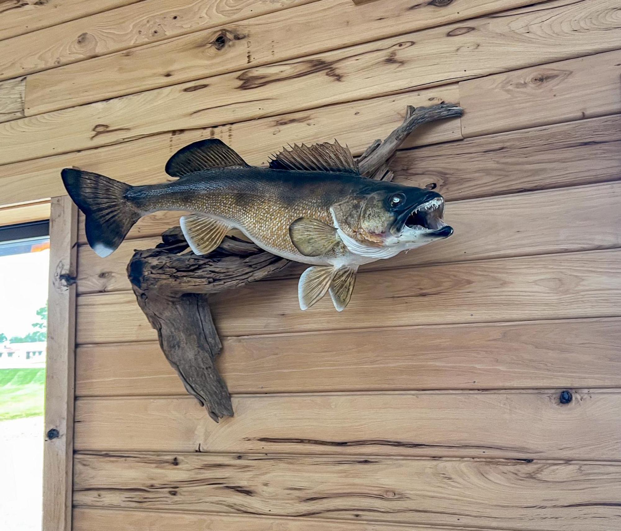 Walleye Inn バウデット エクステリア 写真