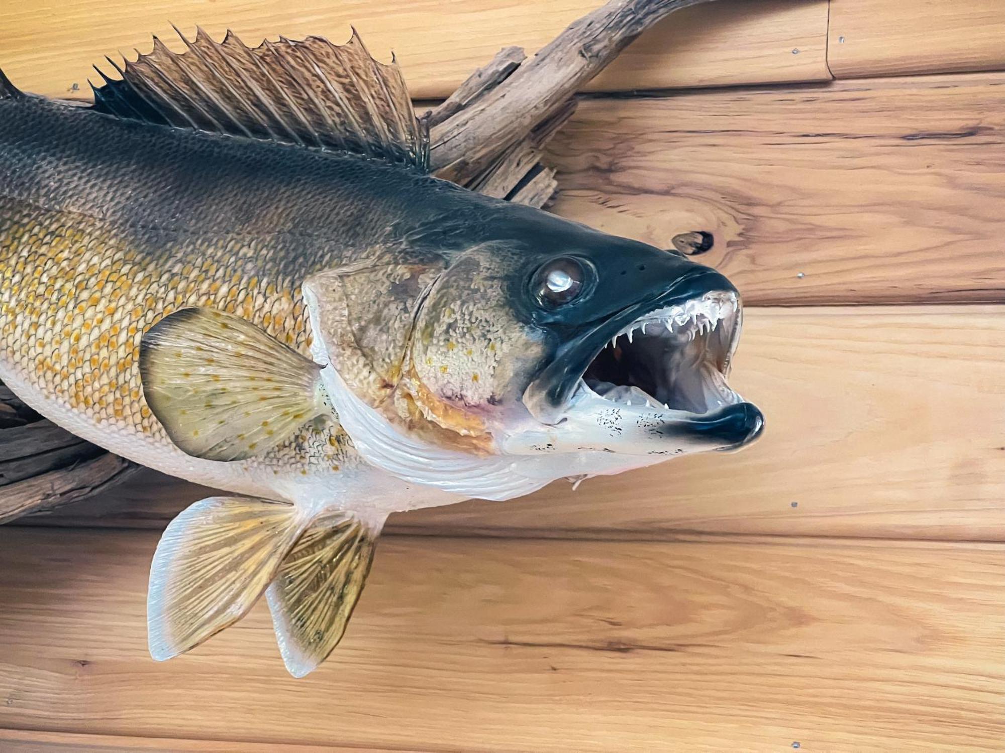 Walleye Inn バウデット エクステリア 写真